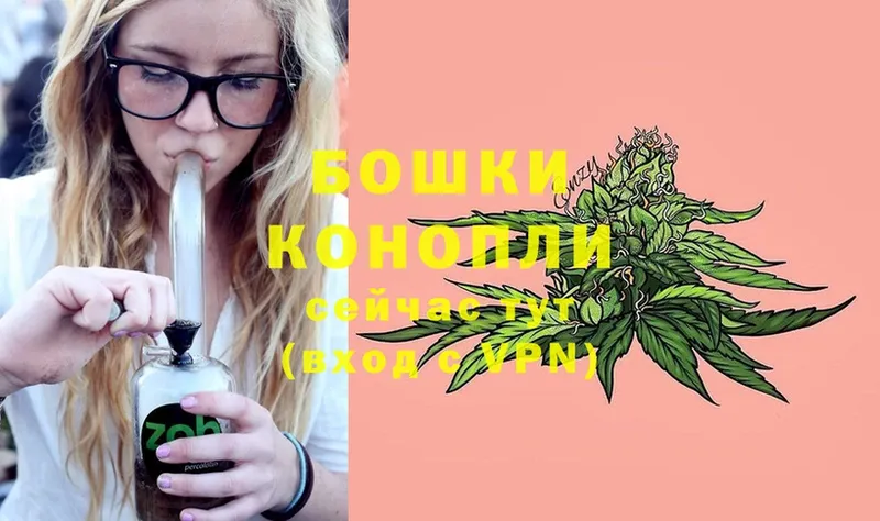 Канабис Ganja  Сосновка 